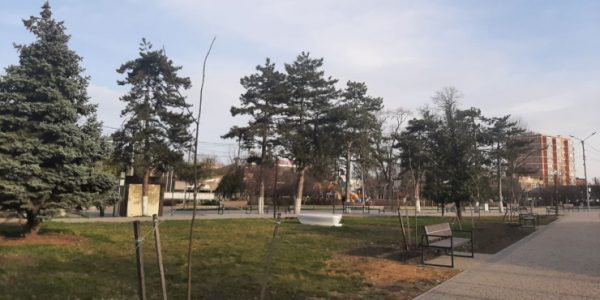 Жителей Крымского района предупредили об усилении ветра: 1 апреля 2022