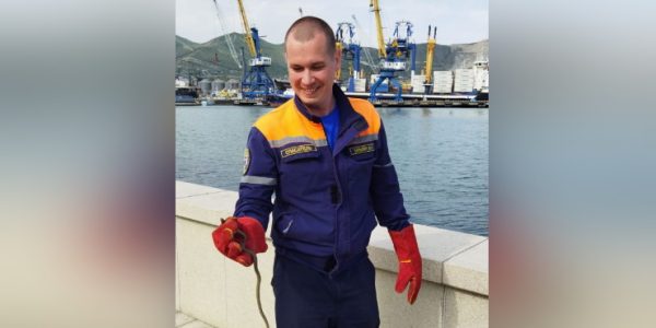 В Новороссийске спасатели поймали змею на набережной
