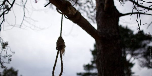 В Усть-Лабинском районе в лесополосе нашли тело повешенного мужчины