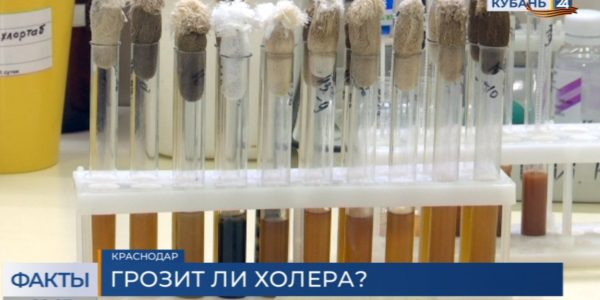 Фейки о зараженной водопроводной воде: ни одного случая холеры в крае не зафиксировано