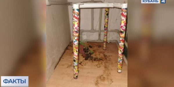 Жилищный скандал: в Краснодаре собственница обвинила квартирантку в порче имущества