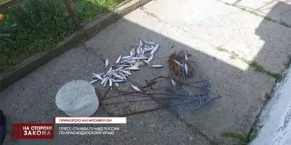 В Приморско-Ахтарском районе полицейские задержали 41-летнего браконьера из Сочи