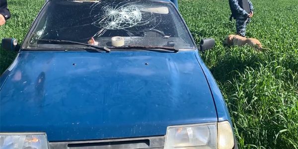 В Краснодарском крае полицейские во время погони открыли стрельбу по машине нарушителя