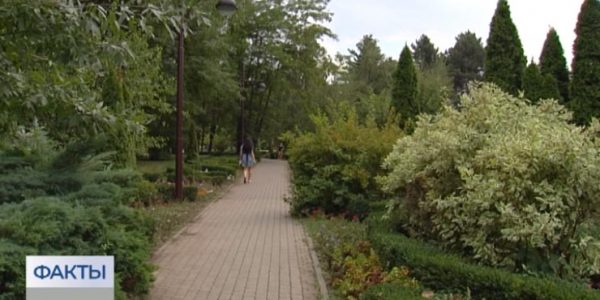 Вторая волна аллергии: в Краснодарском крае началось цветение деревьев и злаковых трав