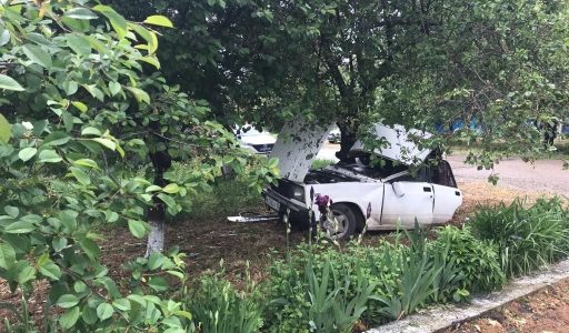 В Кавказском районе водитель «семерки» врезался в дерево и погиб