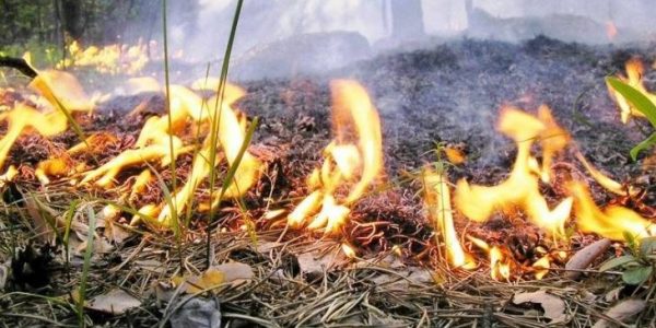 В Краснодарском крае до 24 мая объявили предупреждение по высокой пожароопасности