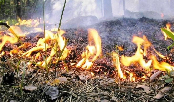 В Краснодарском крае до 24 мая сохранится высокая пожароопасность
