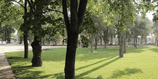 Почти 55 тыс. краснодарцев выбрали зеленые зоны для благоустройства в 2023 году
