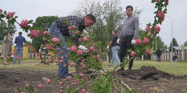 На территории нового детсада в поселке Водники под Краснодаром посадили 42 дерева