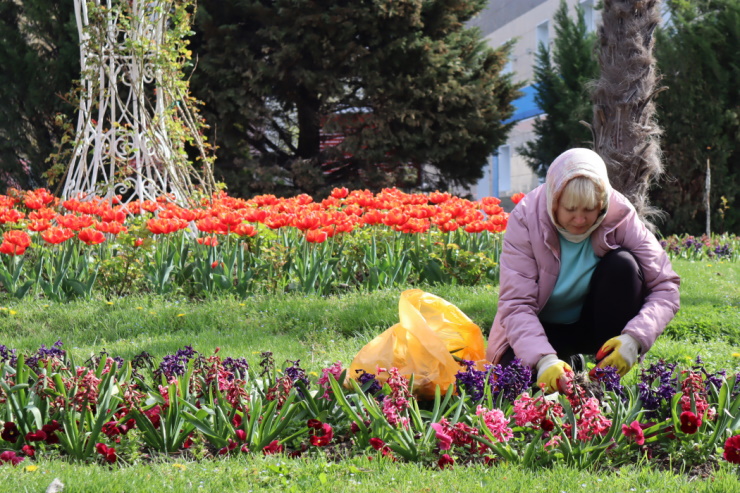 В Геленджике до начала лета высадят около 300 тыс. цветов