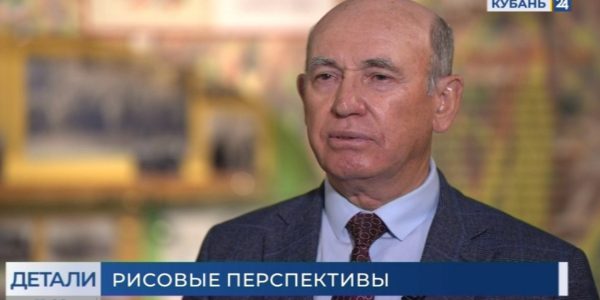 Виктор Ковалев: селекционная работа по рису не прекращается