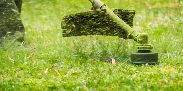 В Краснодаре с апреля выкосили более 2 тыс. га сорной растительности
