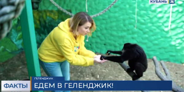 На телеканале «Кубань 24» стартует новый проект «Вкусовщина.Юг»