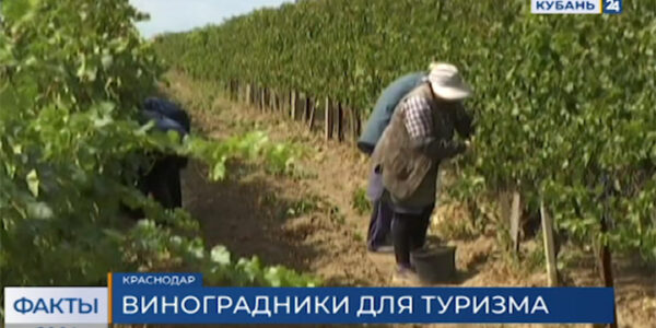 Депутаты Заксобрания предложили утвердить правки в федеральный закон о виноделии