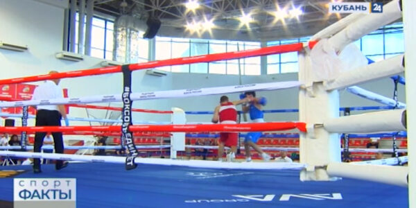 В Краснодаре стартовал чемпионат Южного федерального округа по боксу