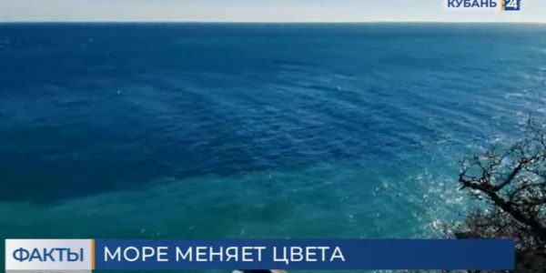 На побережье Краснодарского края море окрасилось в бирюзовые оттенки
