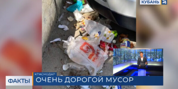 Госдума РФ приняла закон о штрафах за сброс мусора с автотранспорта
