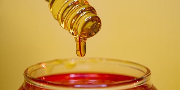 Краснодарский край вошел в топ-3 регионов с самым вкусным медом