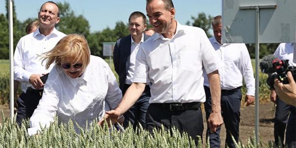 В Краснодарском крае введут новые региональные стандарты сохранения плодородия почвы