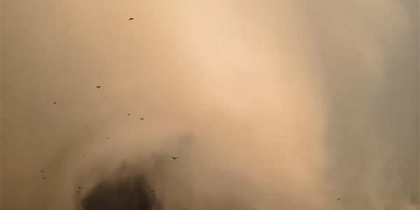 Жителей Краснодарского края предупредили об угрозе пыльных бурь