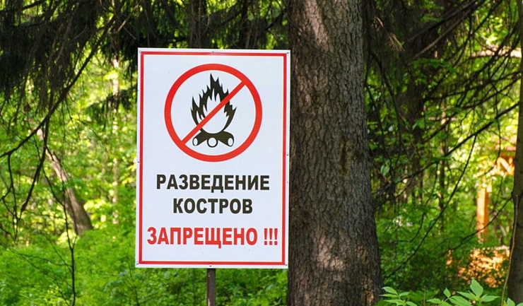 В Сочи запретили разводить костры и сжигать мусор во время пожароопасного сезона