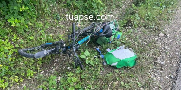 В Туапсинском районе велосипедист сбил корову