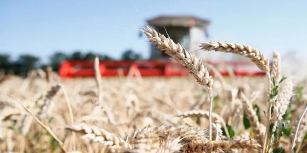 В «Росспецмаше» объяснили резкое снижение продаж российской сельхозтехники