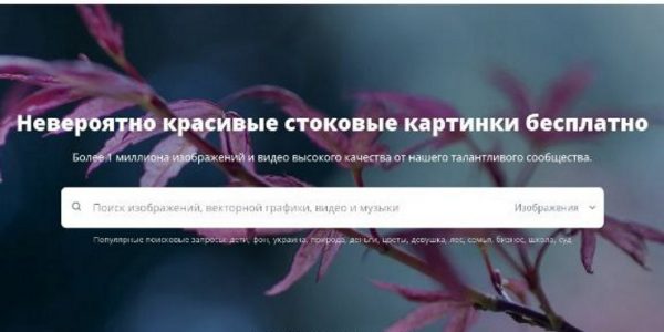 Фотосток Pixabay ограничил доступ для российских пользователей