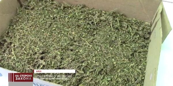 В Ейске у местного жителя полицейские нашли 105 граммов марихуаны