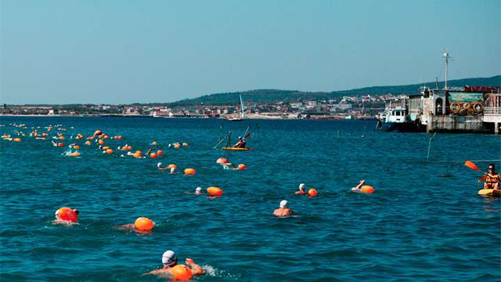 В Геленджике впервые за три года пройдет массовый заплыв «Морская миля»