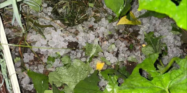 Непогода на Кубани: в Сочи за сутки выпало 25 мм осадков