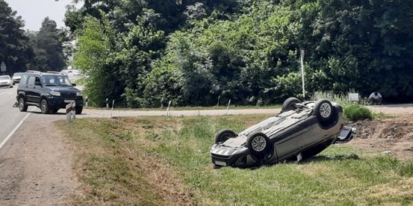 В Краснодарском крае автомобиль наехал на труп собаки, потерял управление и вылетел с дороги