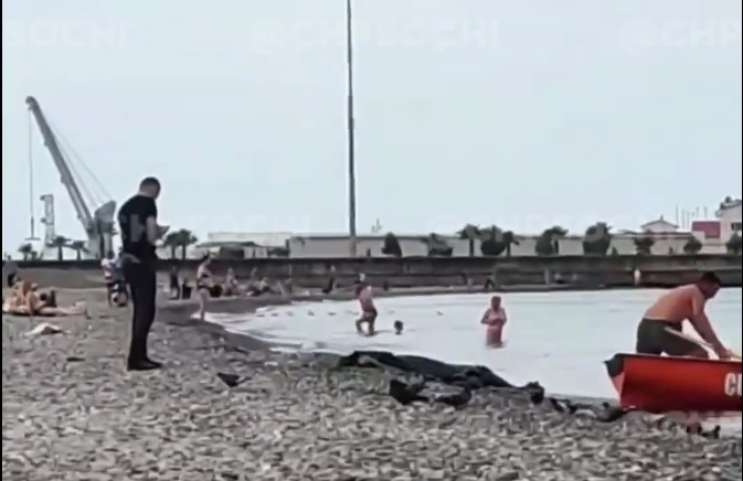 В Сочи туристы обнаружили в море труп человека