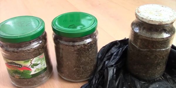 В Краснодарском крае местный житель хранил 1 кг марихуаны и коноплю в ящике с зерном