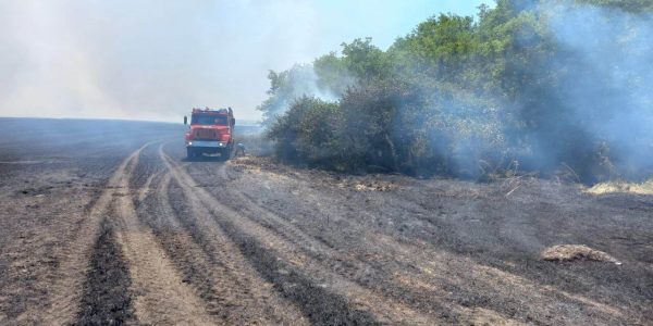 В Ейском районе загоревшаяся сухая трава на пустыре напугала жителей станицы