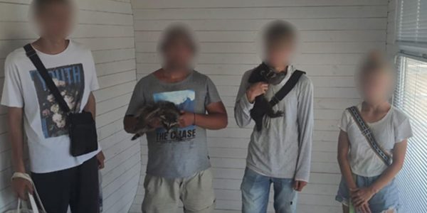 В Анапе полицейские задержали фотографов-живодеров с енотами