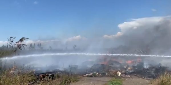 В Ейске потушили пожар возле приюта для бездомных животных