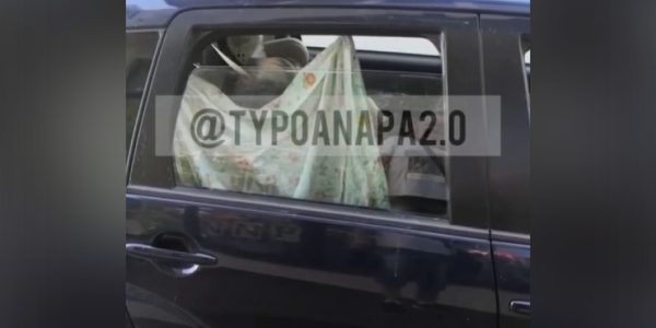 В Анапе установили личность женщины, которая закрыла детей на жаре в машине и ушла