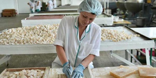 В Краснодарском крае заработала программа льготного финансирования для пищевиков