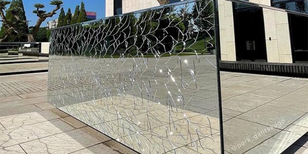 В парке «Краснодар» разбили зеркальное покрытие вазона с экзотическим деревом