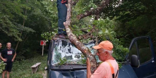 В Туапсинском районе рухнувшее дерево смяло легковушку