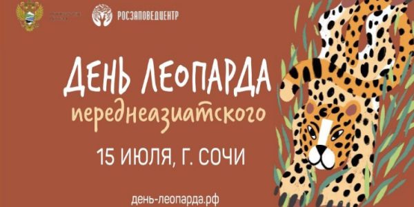 Следы в бронзе, выставка и дискотека: в Сочи впервые отметят День переднеазиатского леопарда