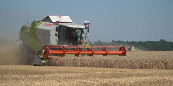 Урожайность пшеницы в краснодарском учхозе «Кубань» превысила 74 центнера с гектара