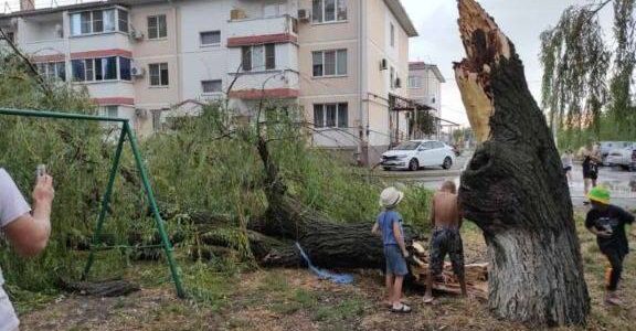 В Тимашевском районе устраняют последствия сильного ливня