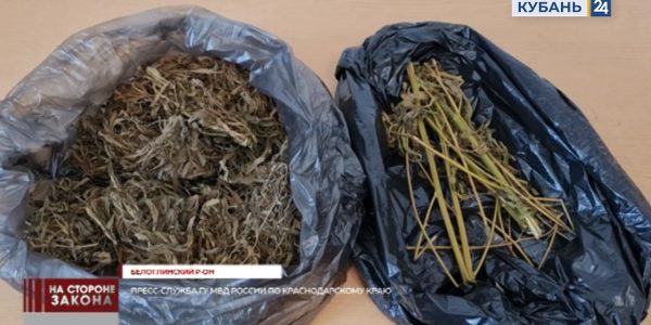 В Белоглинском районе местному жителю грозит до 10 лет колонии за хранение марихуаны