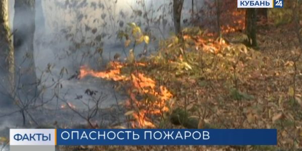 В западных районах Краснодарского края до 24 августа объявили чрезвычайную пожароопасность