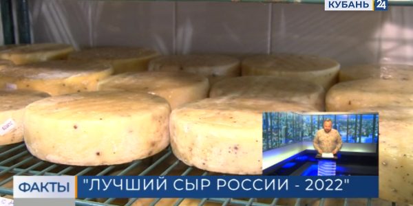 Кубанская продукция вошла в число победителей на конкурсе «Лучший сыр России — 2022»