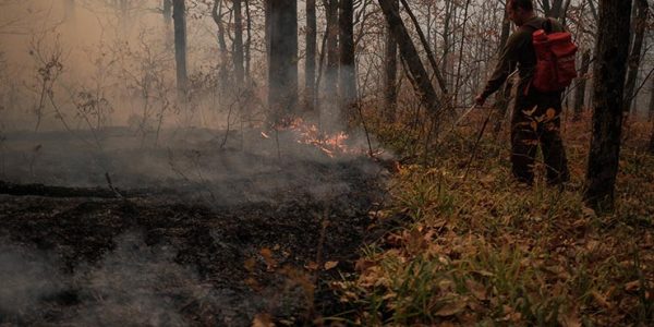 В горах Геленджика загорелся почти гектар леса