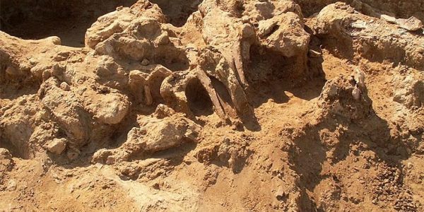 Эксперт предупредил об угрозе разрушения стоянки древнего человека в Тамани