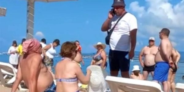 Мэрия Геленджика расторгнет договор с арендатором пляжа «Дельфин» после скандального видео